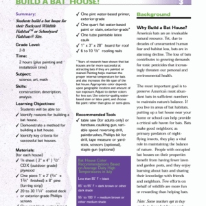 Biodiversidade e Natureza  Criando uma casa de morcegos -Build Bat House - EF II