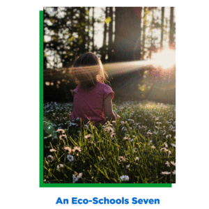 Mindfulness (English)  - EF II, M