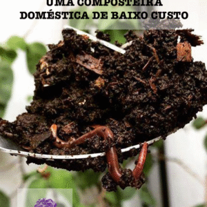Resíduos  Manual para construir uma composteira doméstica de baixo custo (Reconectta) - EF II, M